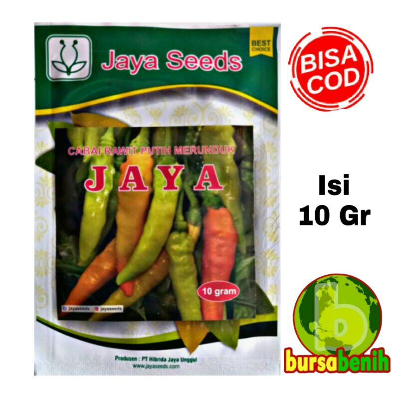Benih Cabe Rawit JAYA Isi 10 Gram - Bibit Cabe Rawit - Benih Cabai Rawit - Bibit Cabai Rawit - Benih