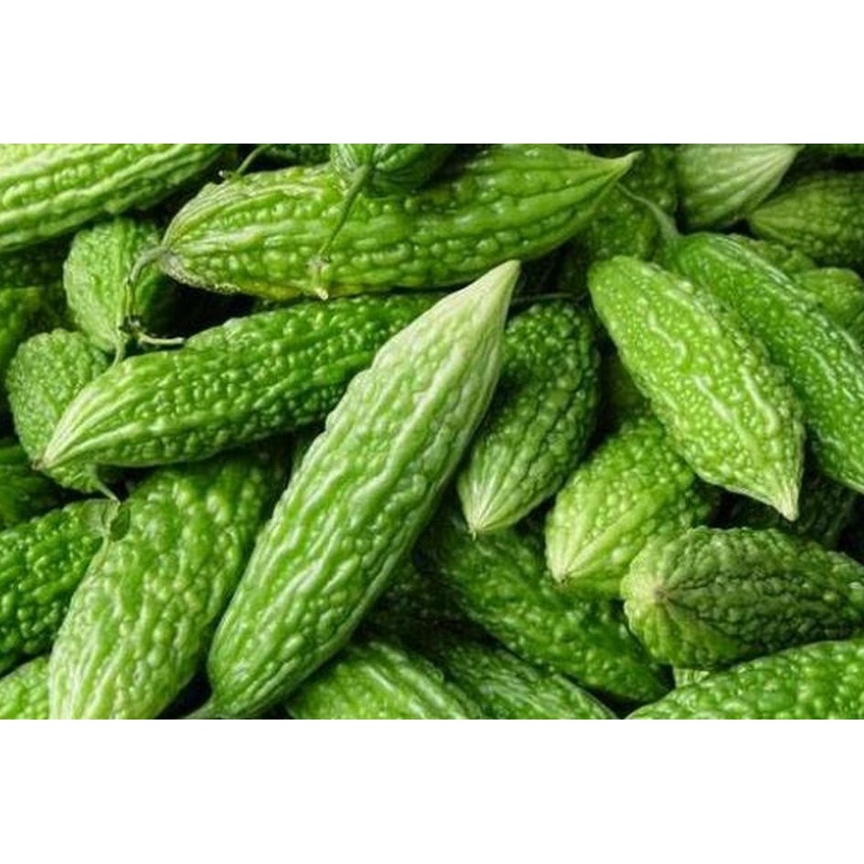 

Sayur Pare 200gr