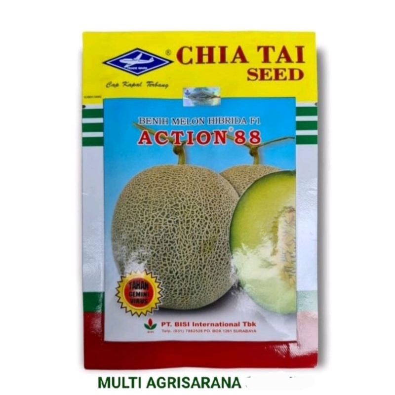 Benih Bibit Melon hibrida F1 ACTION 88 isi 550 biji