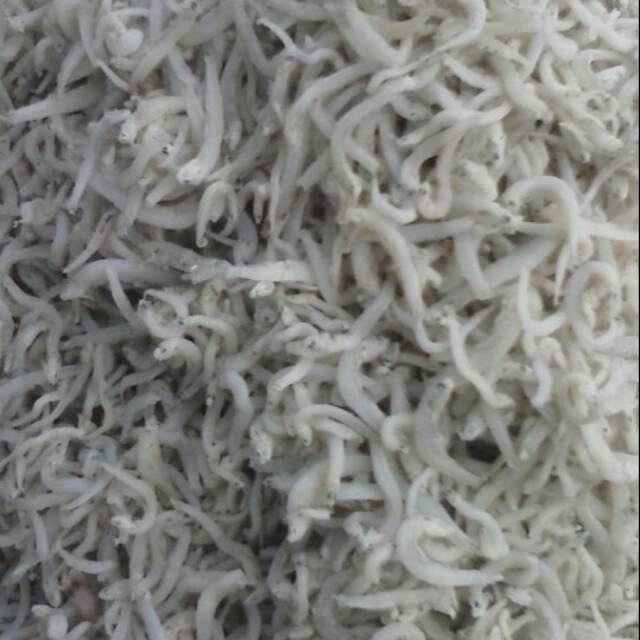 

Ikan teri nasi /teri medan super & murah