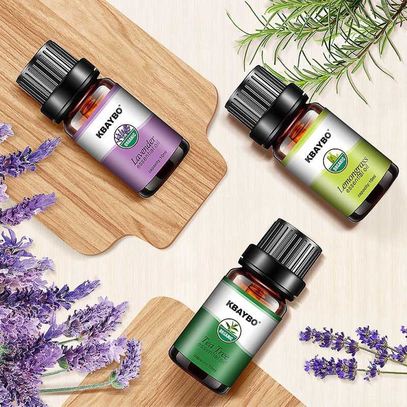 Essential Oil Minyak Aromatherapy Aromaterapi Essensial oil 6 Pcs 10ML Pengharum Pewangi Ruangan