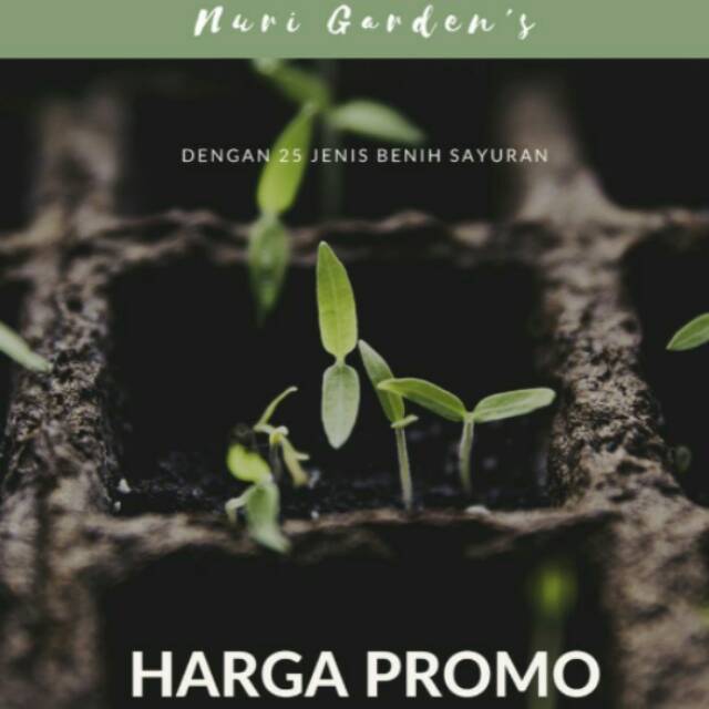 PAKET BENIH sayur hemat