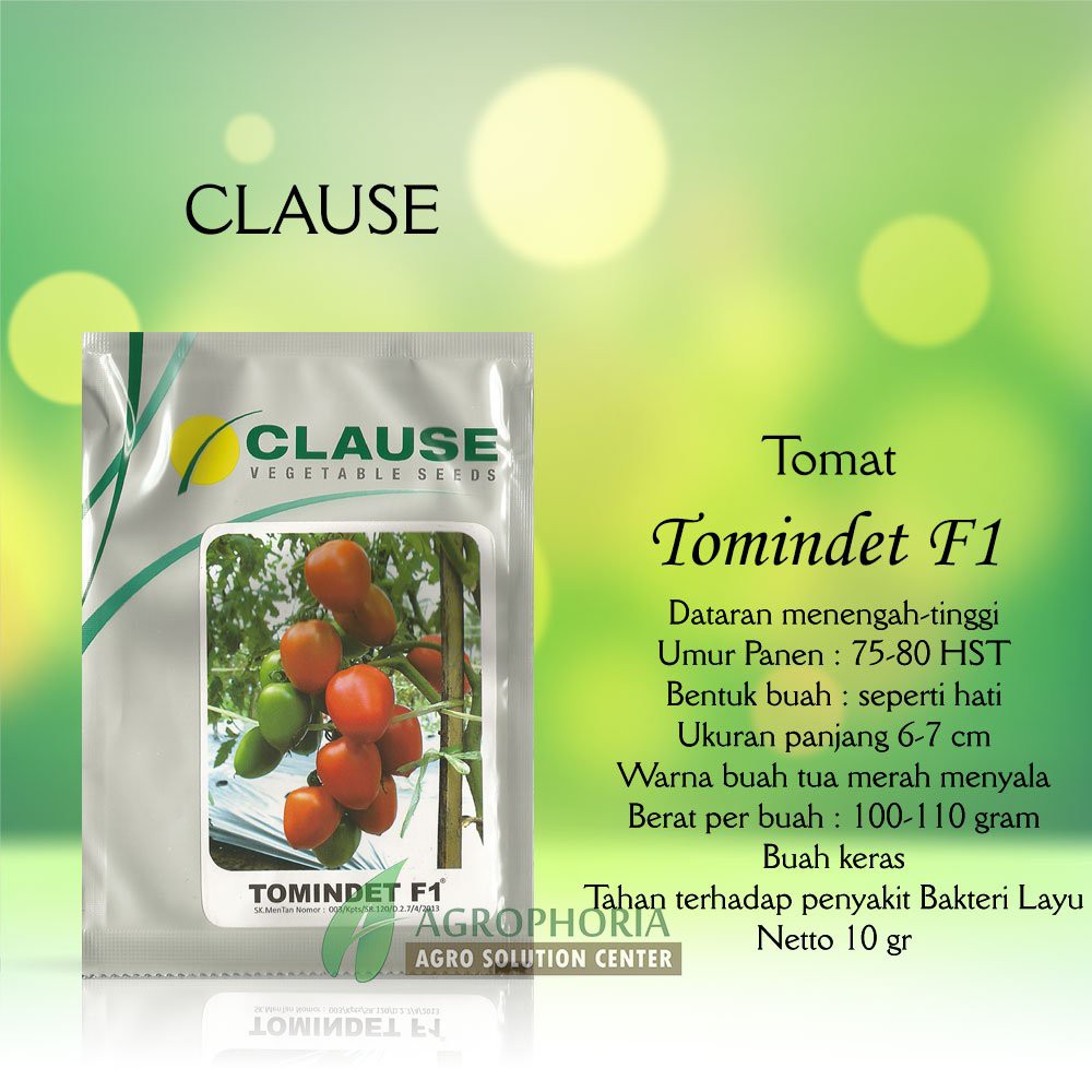 Benih Tomat Tomindet F1 10 gr - Clause Limited