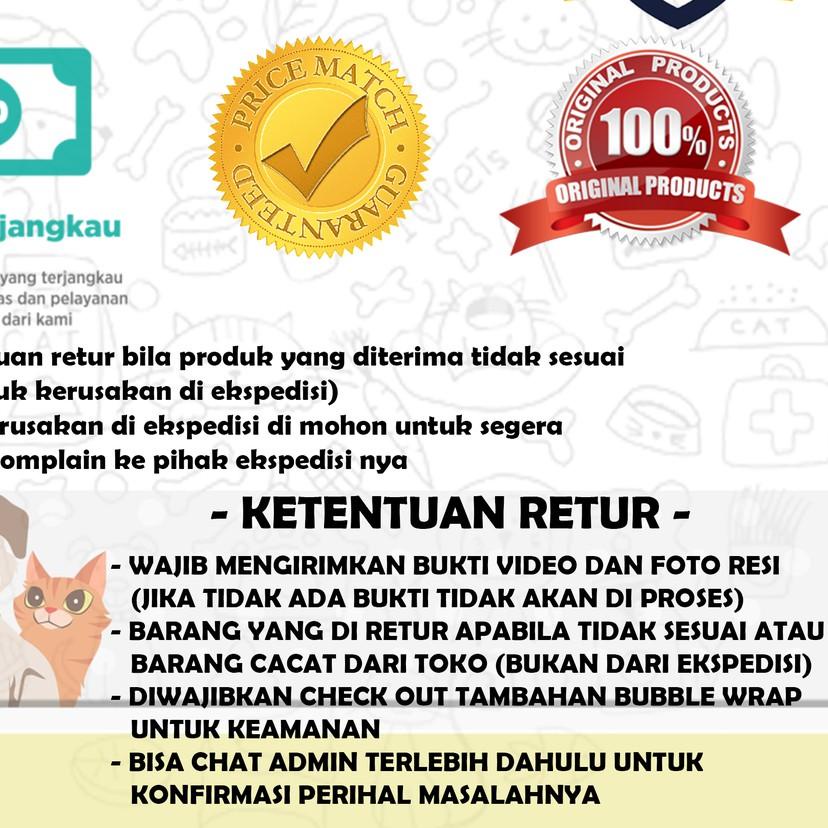 ♬ 220 VOLT HIGH VOLTAGE | Pakan Makanan Pur Voer Pleci | Pakan Burung Pleci Oriental ⅍