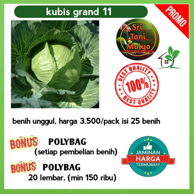 25 biji - Benih Sayur Sayuran Kol/Kubis Kolbis (Mudah Tumbuh) bibit / benih sayur