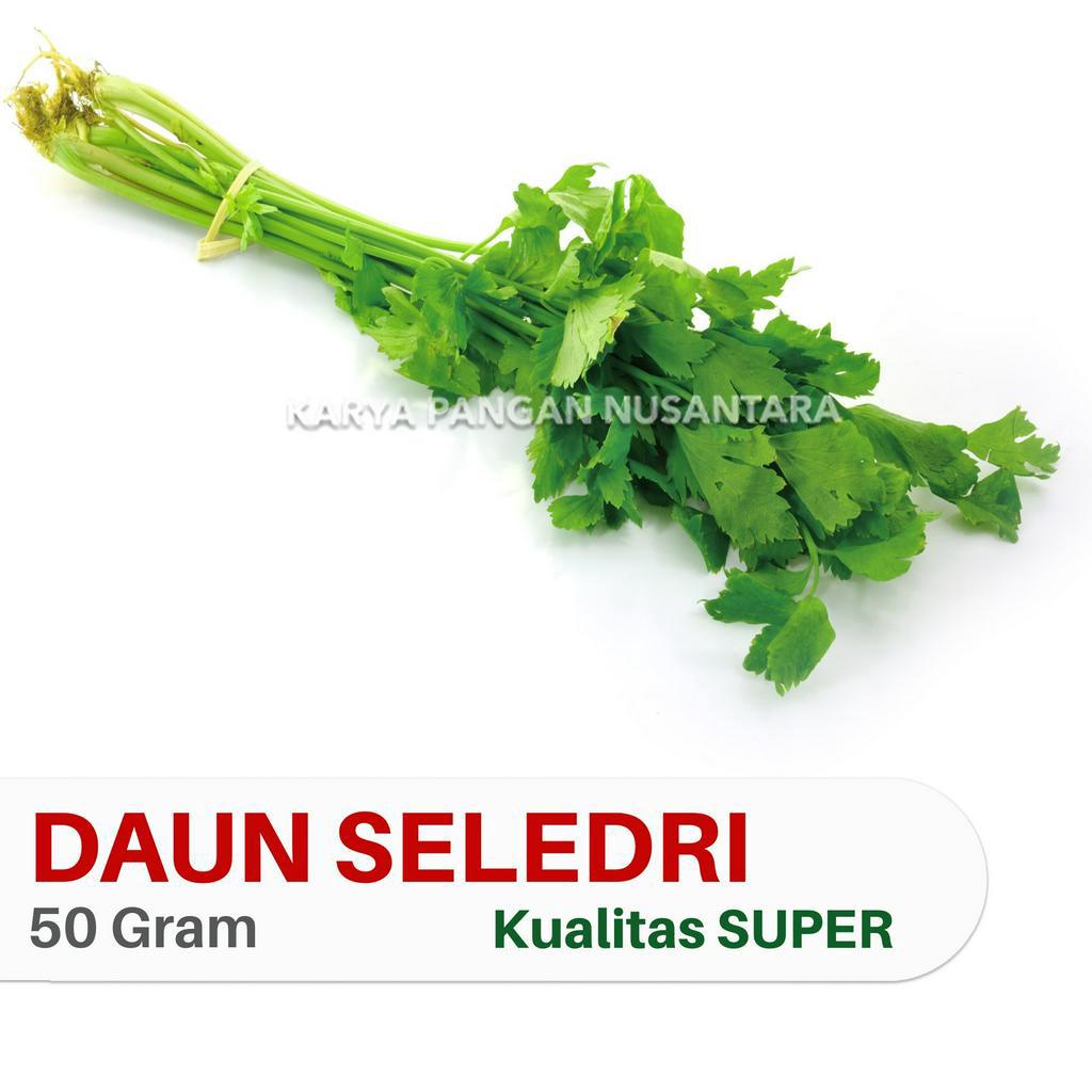

SAYUR SELEDRI DAUN SELEDRI SEGAR DAUN SOP CELERY