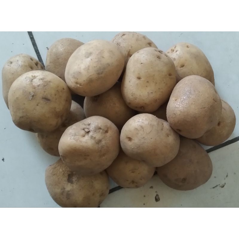 

Kentang ± 500gr