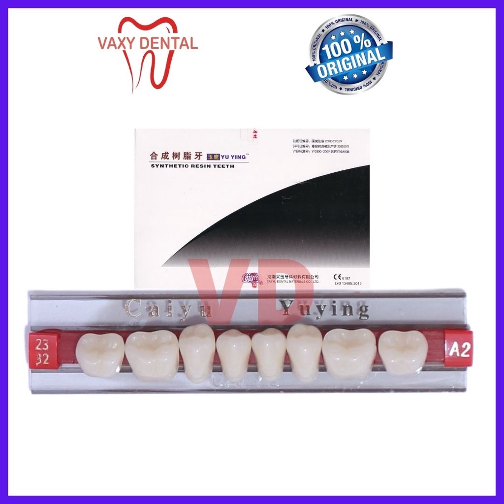 Gigi Caiyu Geraham Bawah 1 papan/set/strip isi 8 butir gigi palsu merk cayyu yuying posterior lower 
