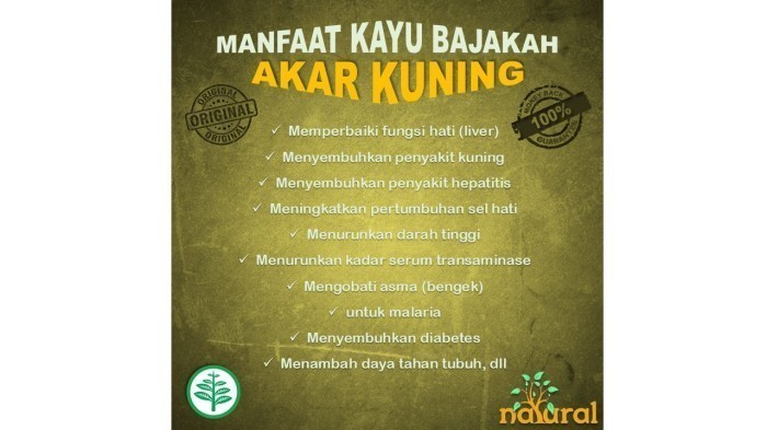 Akar Kayu Bajakah Kuning 150 gram / Akar Kayu Kuning / Akar Kuning