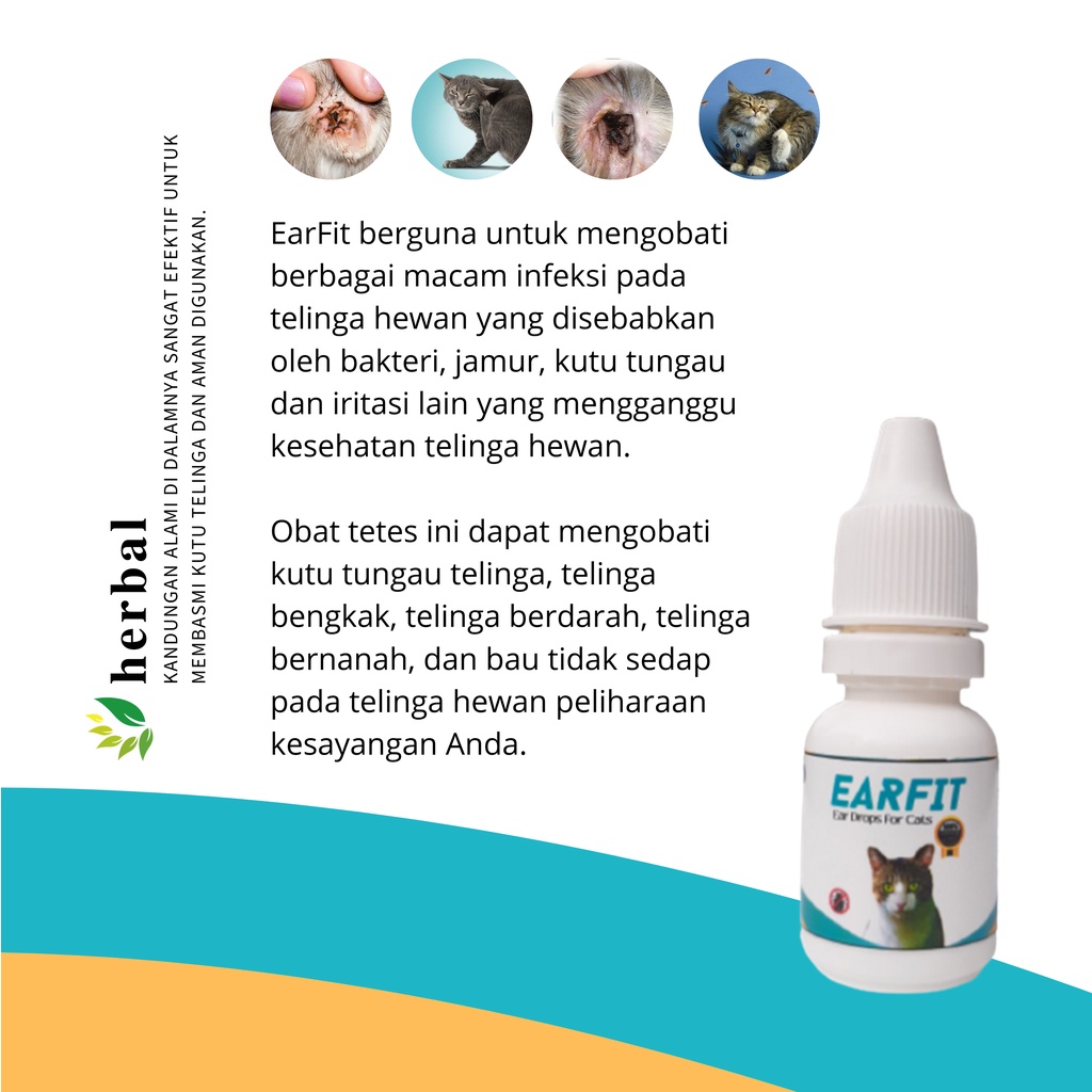 EARFIT Obat Tungau Kutu Telinga Kucing Earmites Ampuh Mengobati Conge Otitis Kuping Kucing