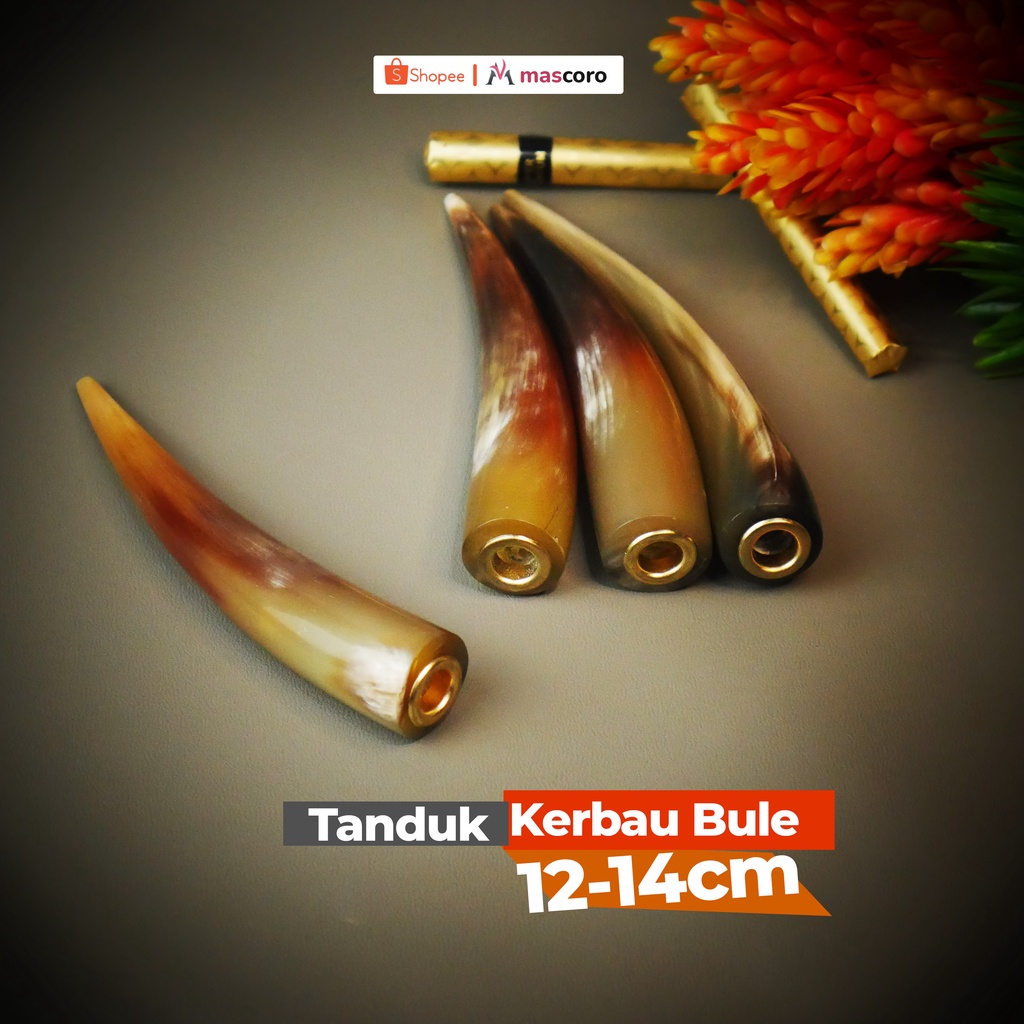 pipa rokok tanduk kerbau once rokok pipa roko bukan pipa rokok gading