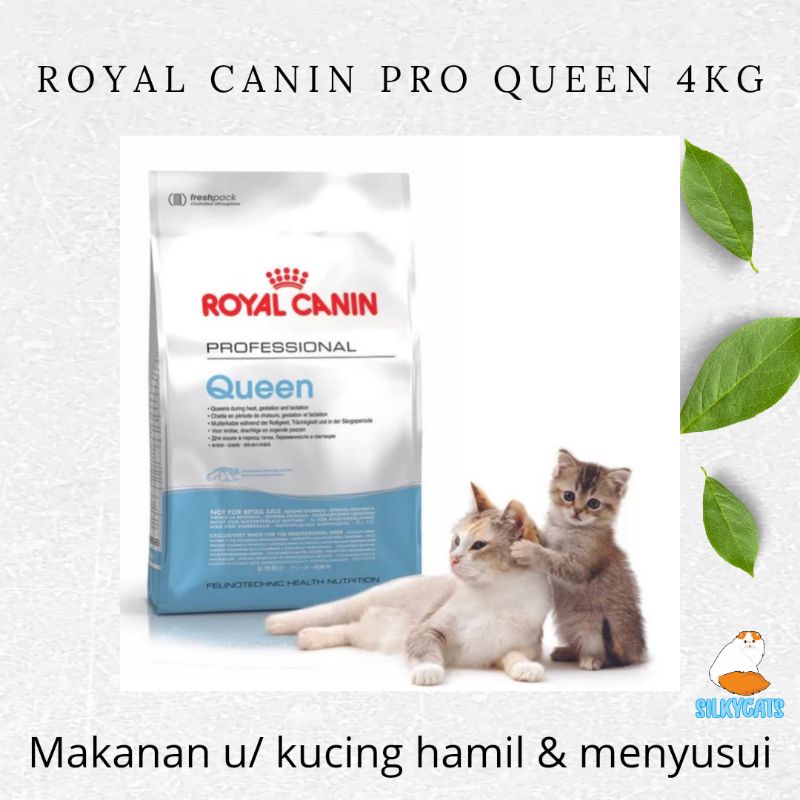 Royal canin pro queen 4kg. Makanan kucing hamil dan menyusui