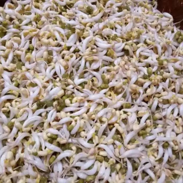 

Toge sayur Segar 250gram