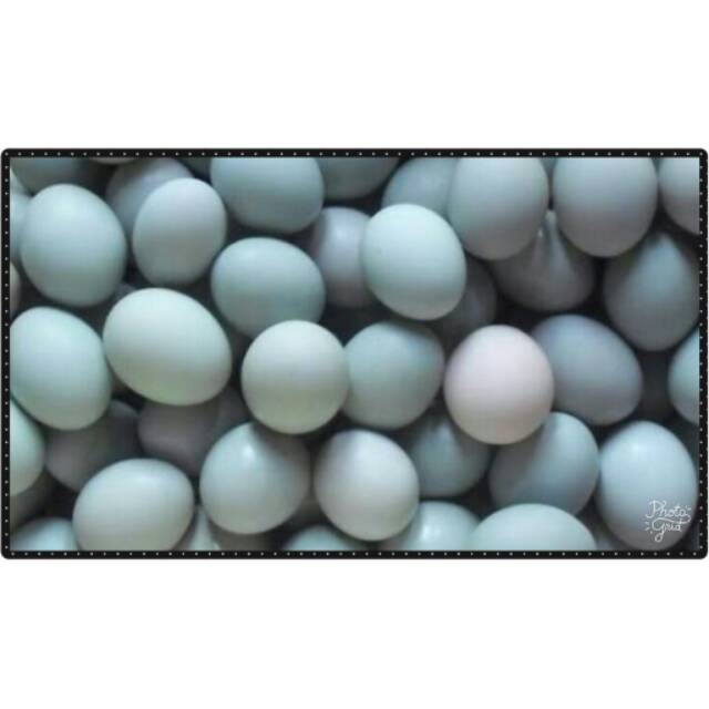 

telur asin