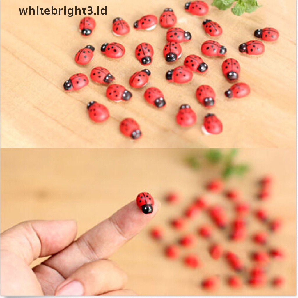 {whitebright3.id} Mini Ladybug Beatles Garden Ornaments Scenery Craft For Plant Pot Fairy Decor ,