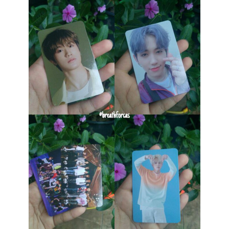 pc treasure chapter 1 yedam mashiho yoshi