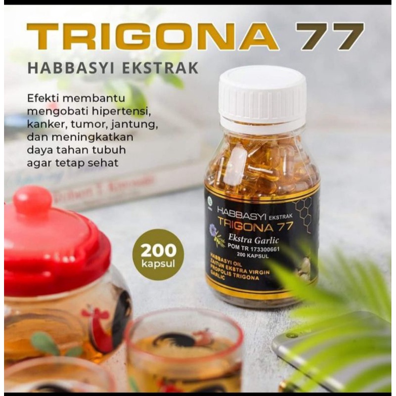 Habbatussauda 4 in 1 Extra Propolis Trigona dan Garlic 200 Kapsul Original