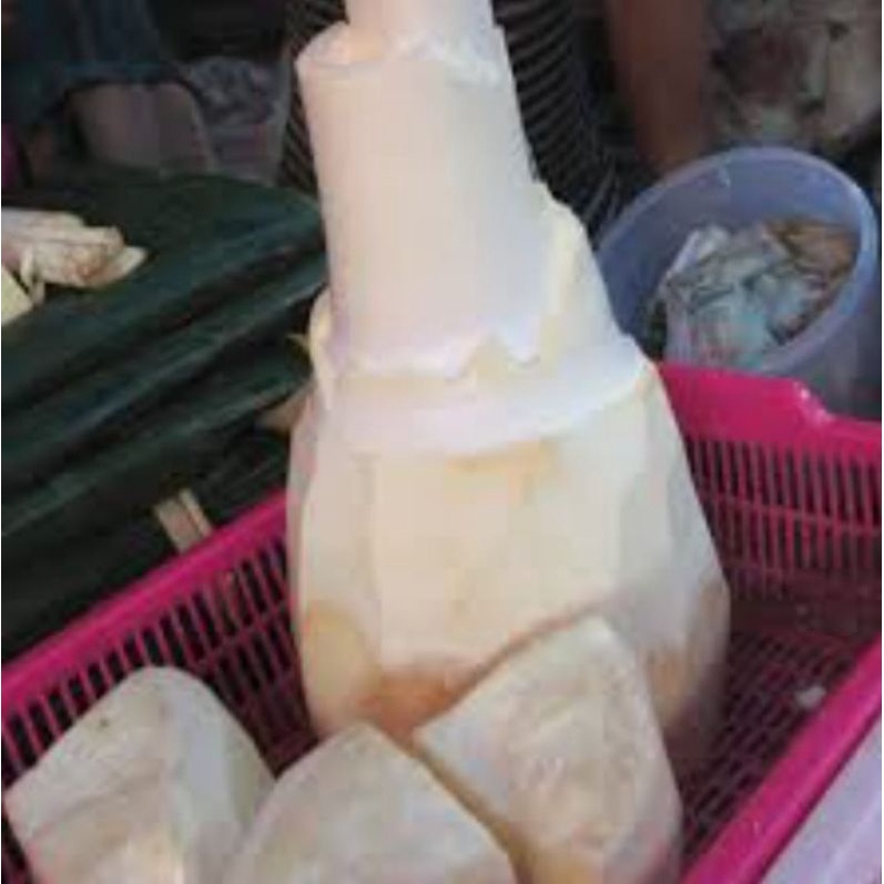 

Sayur Umbut Kelapa Iris Berat 500 Grm