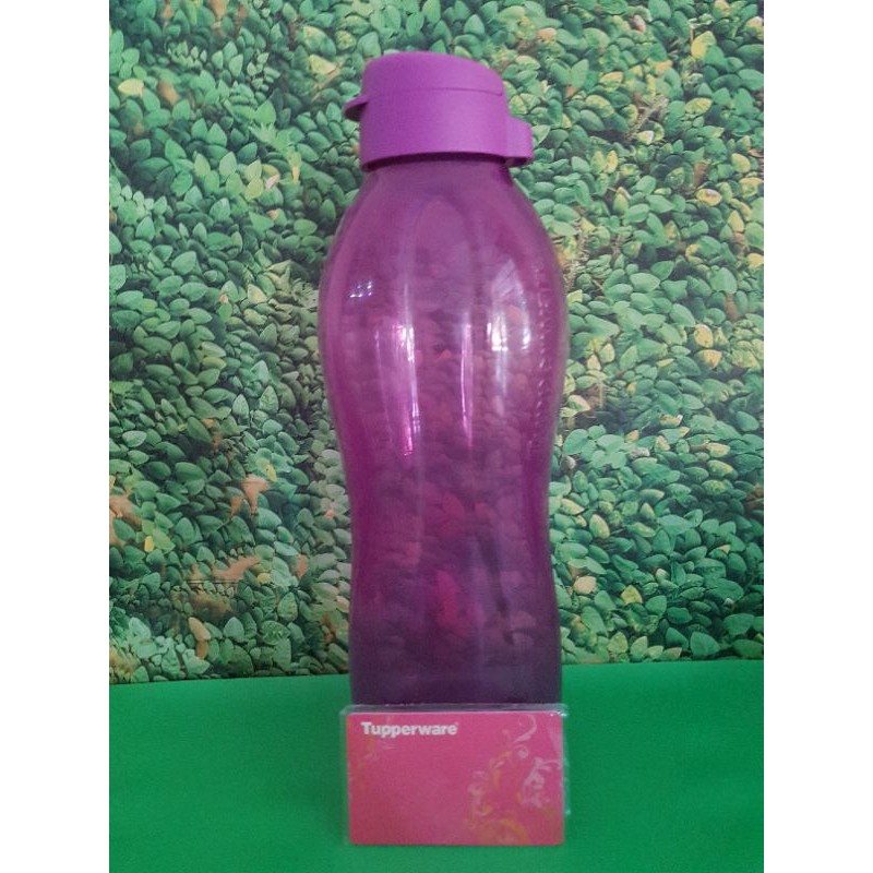 Eco Bottle 2 liter (1)
