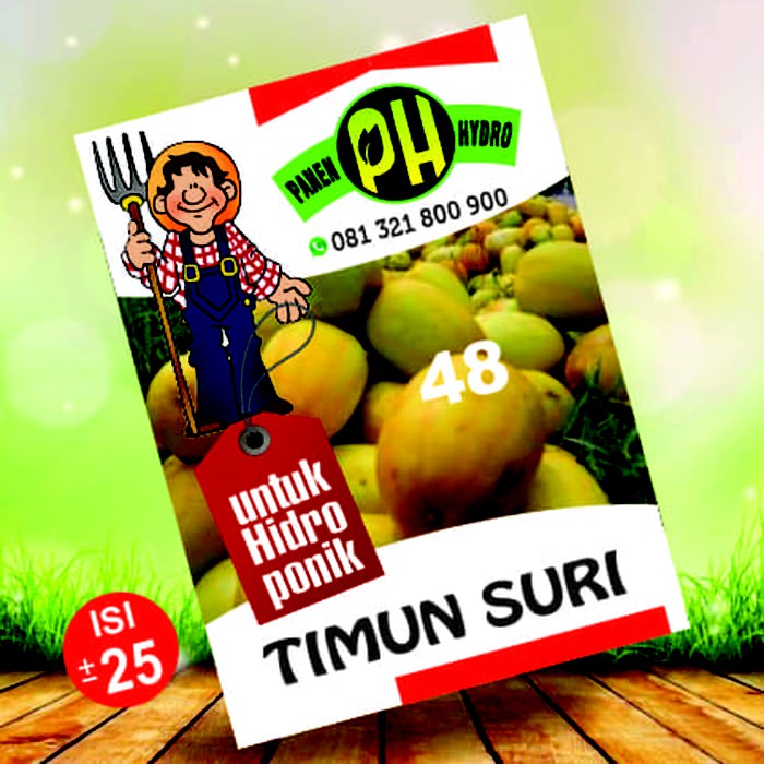 BENIH BIBIT TIMUN SURI KHUSUS HIDROPONIK