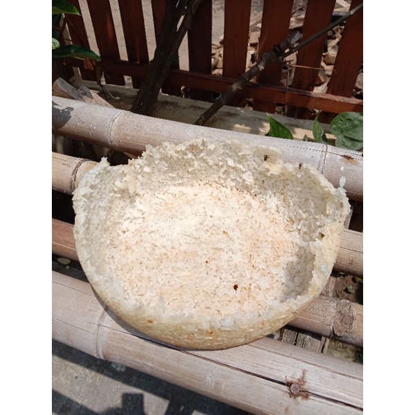 

KERAK NASI/INTIP