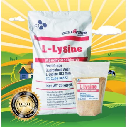 LYSINE 1 KG - Lysine Kucing Vitamin Gemuk Kucing Vitamin Nafsu Makan Imun Kucing