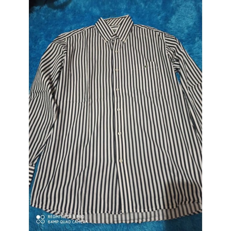Kemeja lacoste (preloved)