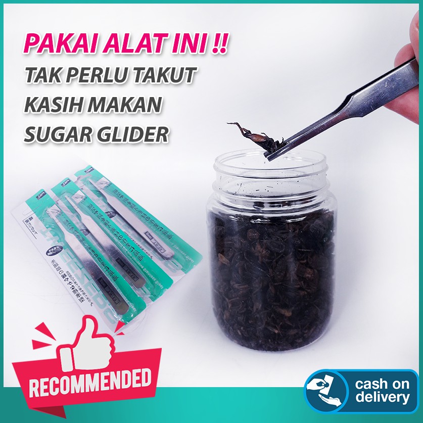 ADEWAP GLIDER Pinset Feeding Makanan Sugar Glider