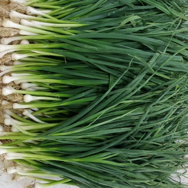 

Daun Son /kg