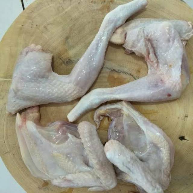 

Ayam pejantan bersih uk 0.6-0.7