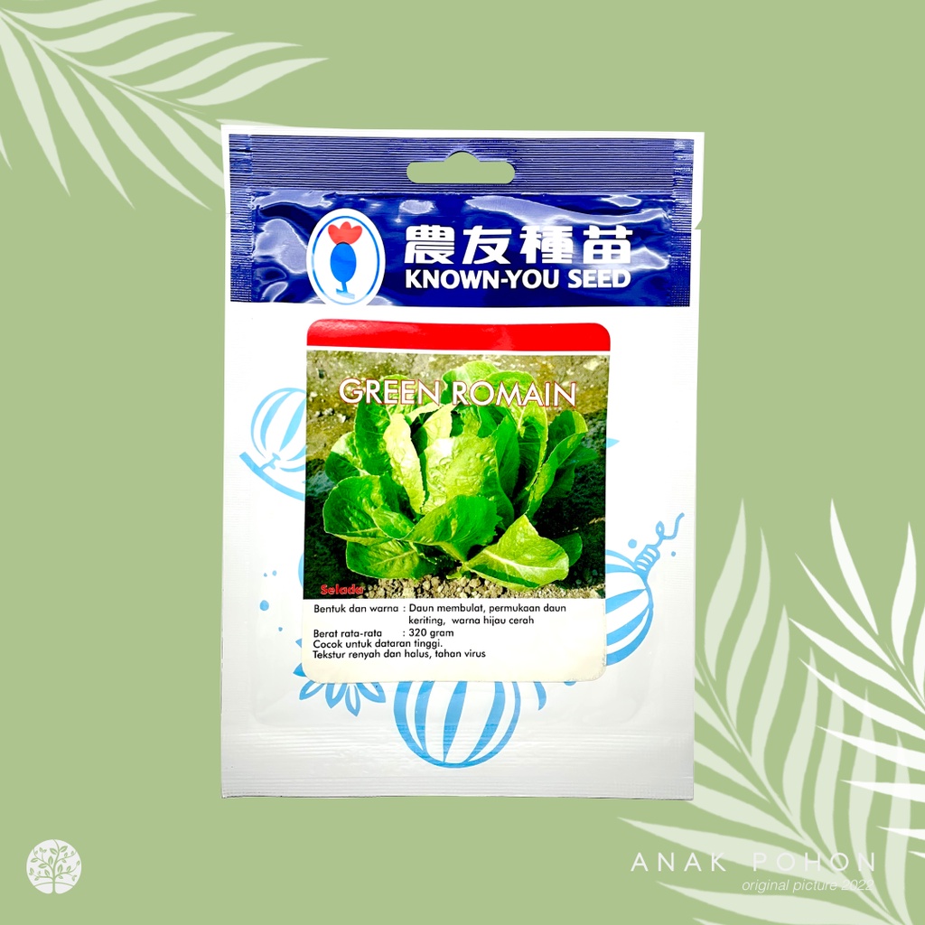 (1 PACK) Benih Selada Green Romain Lettuce Romaine Seeds - Known You Seed KYS - 10 GRAM