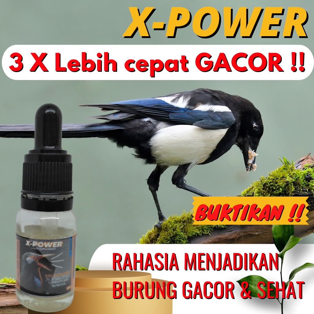 Vitamin Burung Gacor Obat Burung Gacor Vitamin Kurung Kicau Penggacor Burung