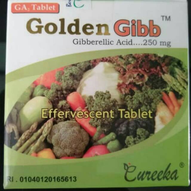 GA3 tablet golden gibb gibberellic acid 250 mg