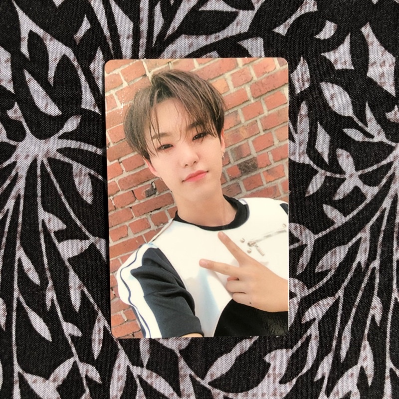 Photocard Hoshi An Ode versi Real