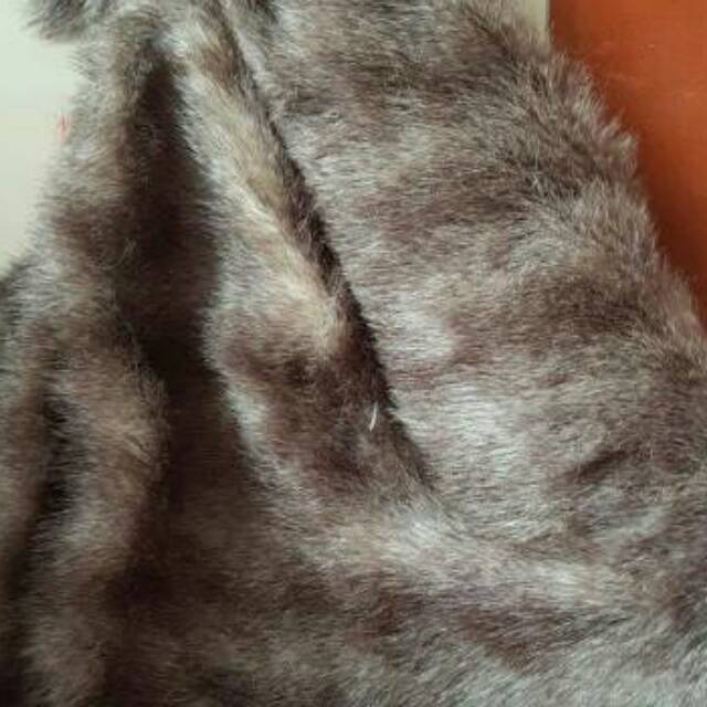 Karpet Bulu Russian Karpet Bulu Bagus Alas Bulu Karpet Bulu Russian Karpet Bulu Bagus Alas Bulu