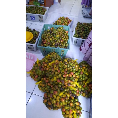 

matoa paket reseler 5 kg