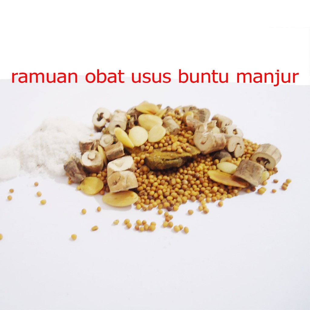 OBAT USUS BUNTU ramuan asli obat usus buntu manjur