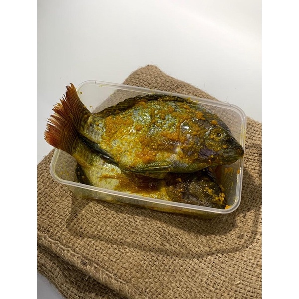 ANEKA IKAN SIAP GORENG