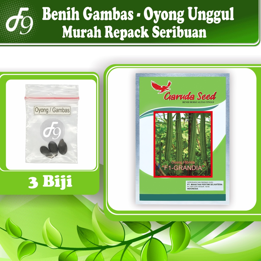 Benih Bibit Gambas Oyong Murah Repack Seribuan