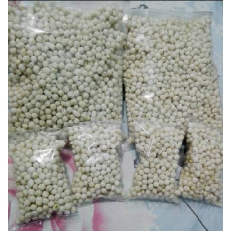 

Cikur Tik Tak Pilus Kencur 500 gram