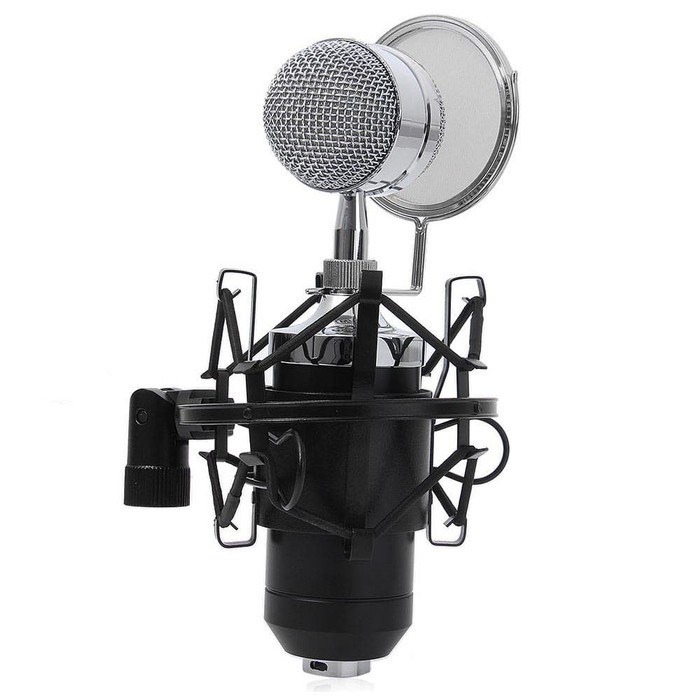 Mic Condensor BM 8000 with Shock Proof Mount and Anti Wind Pop Filter