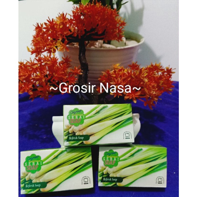 sabun sereh#Sereh nasa