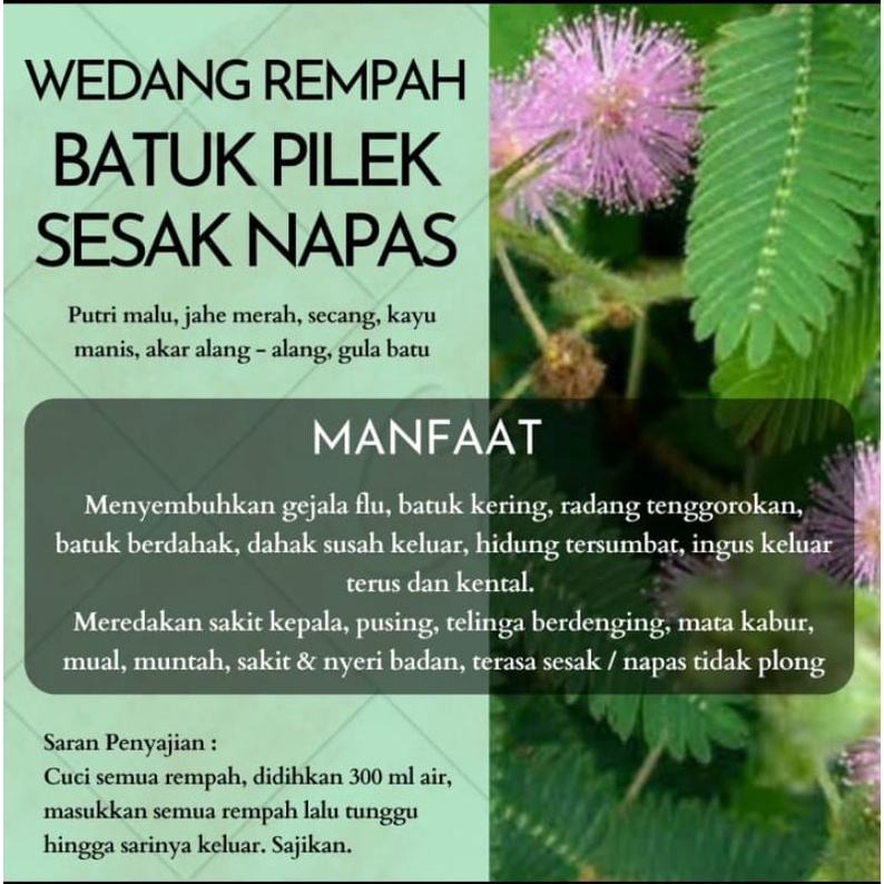 

Wedang Batuk Pilek Sesak Napas