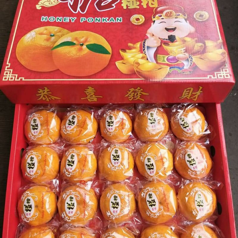 

Hampers Jeruk Ponkam Imlek (20pcs)
