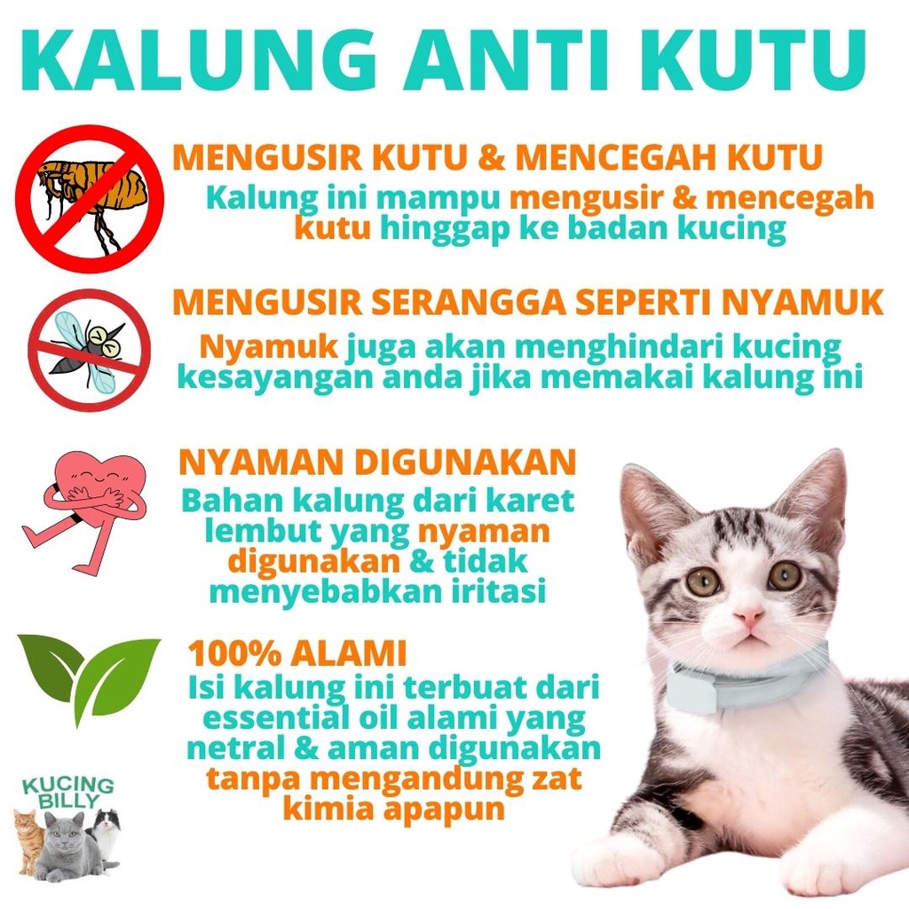 Flea removal collar antikutu kucing