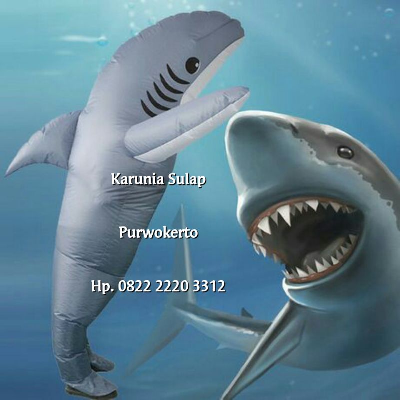 KOSTUM IKAN HIU LUMBA LUMBA COSPLAY BADUT COSTUME INFLATABLE ANGIN LUCU