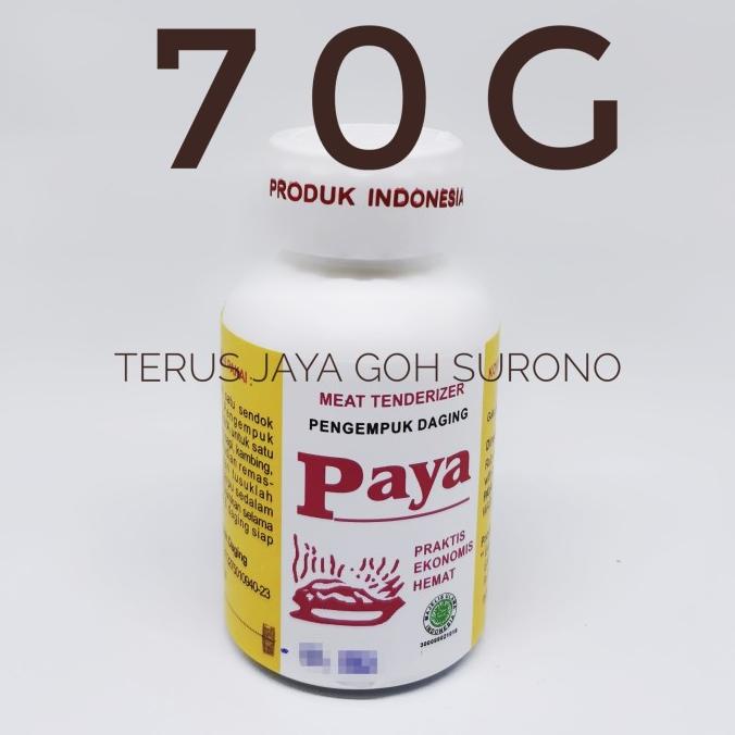

Pengempuk Daging Internasional Paya