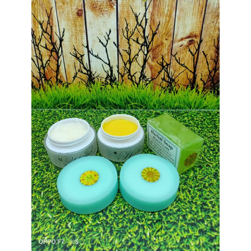 CREAM HERBAL ALGAE HIJAU ORIGINAL HOLO M