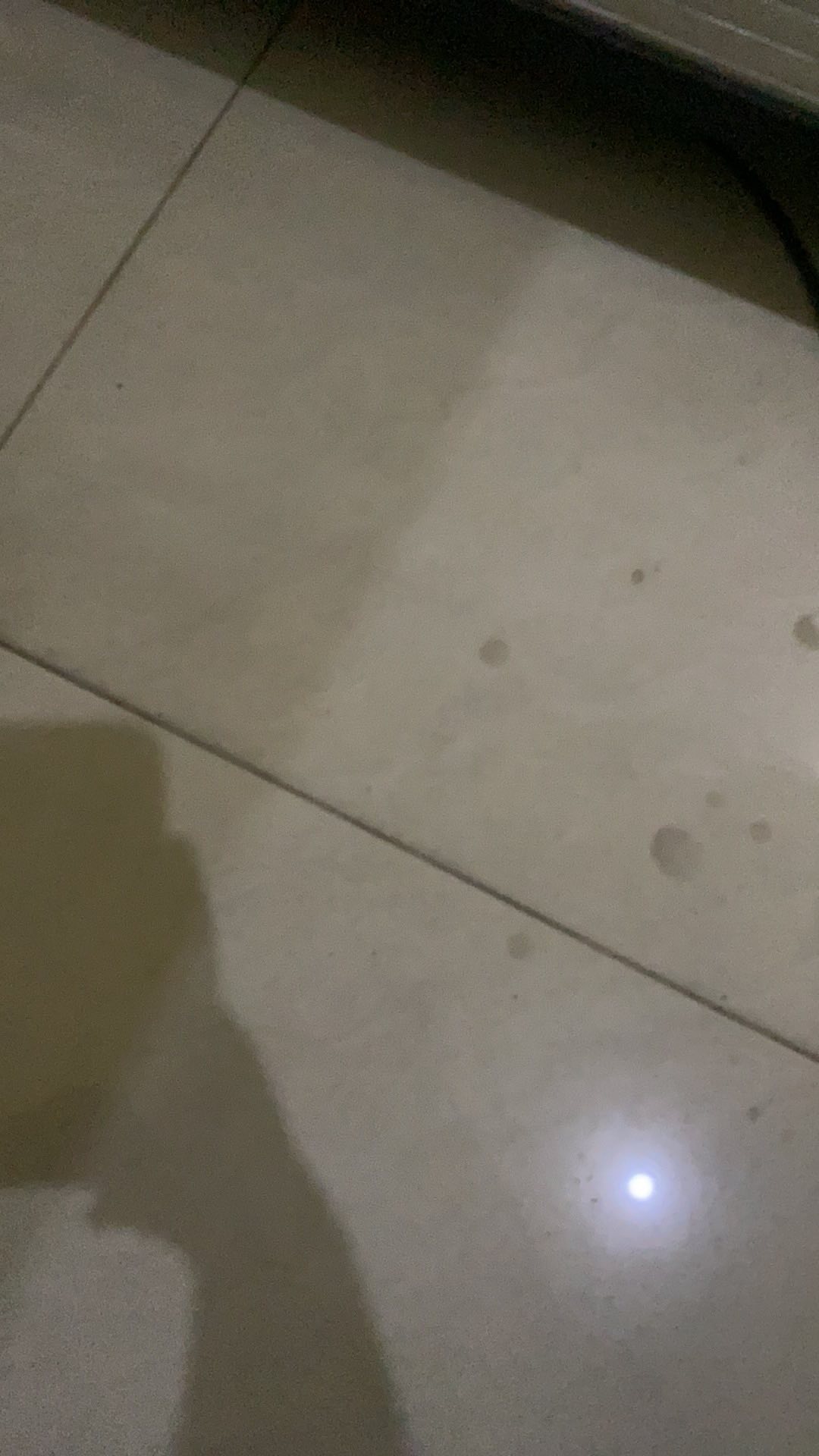 Faaz Pembersih Serbaguna Porcelain Cleaner 1000ml (free 1 Pasang Sarung Tangan Plastik Dan Kuas)