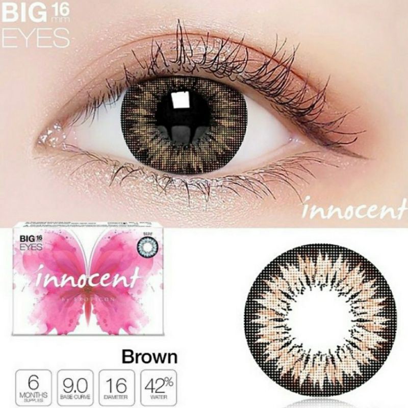 Softlens X2 INNOCENT 16 MM  BROWN MINUS -0.50 S.D -6.00 by EXOTICON